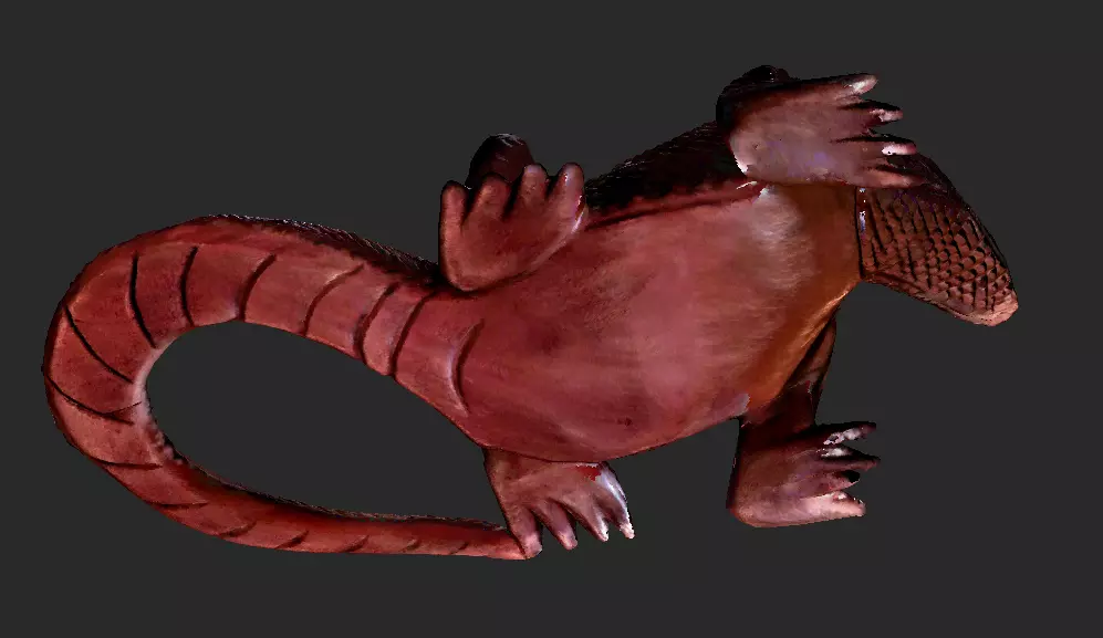 Wooden Komodo Dragon 3D model_0