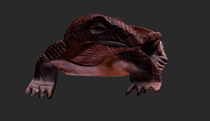 Wooden Komodo Dragon 3D model_3
