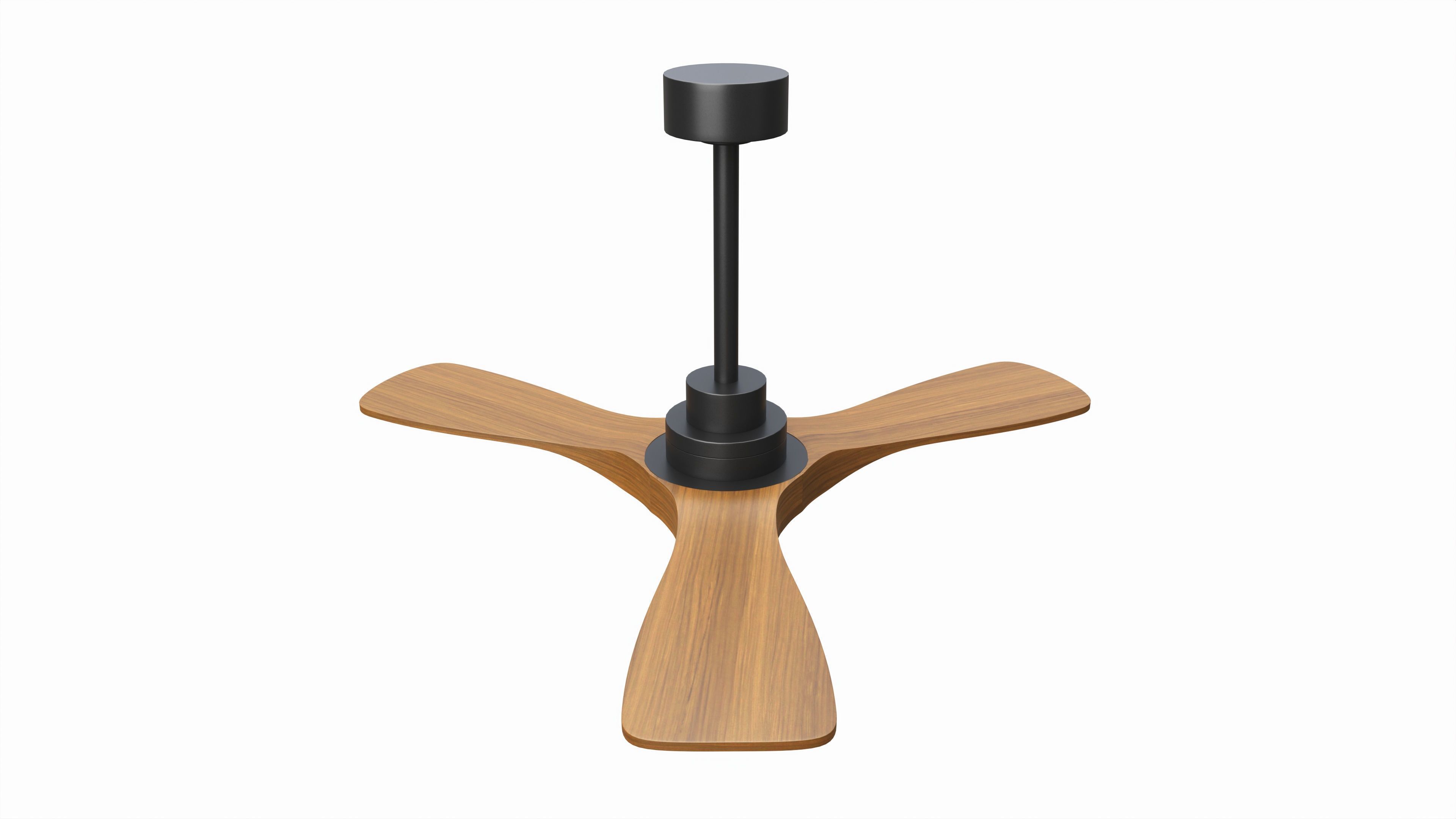 Wood Ceiling Fan with Light 3D model_1