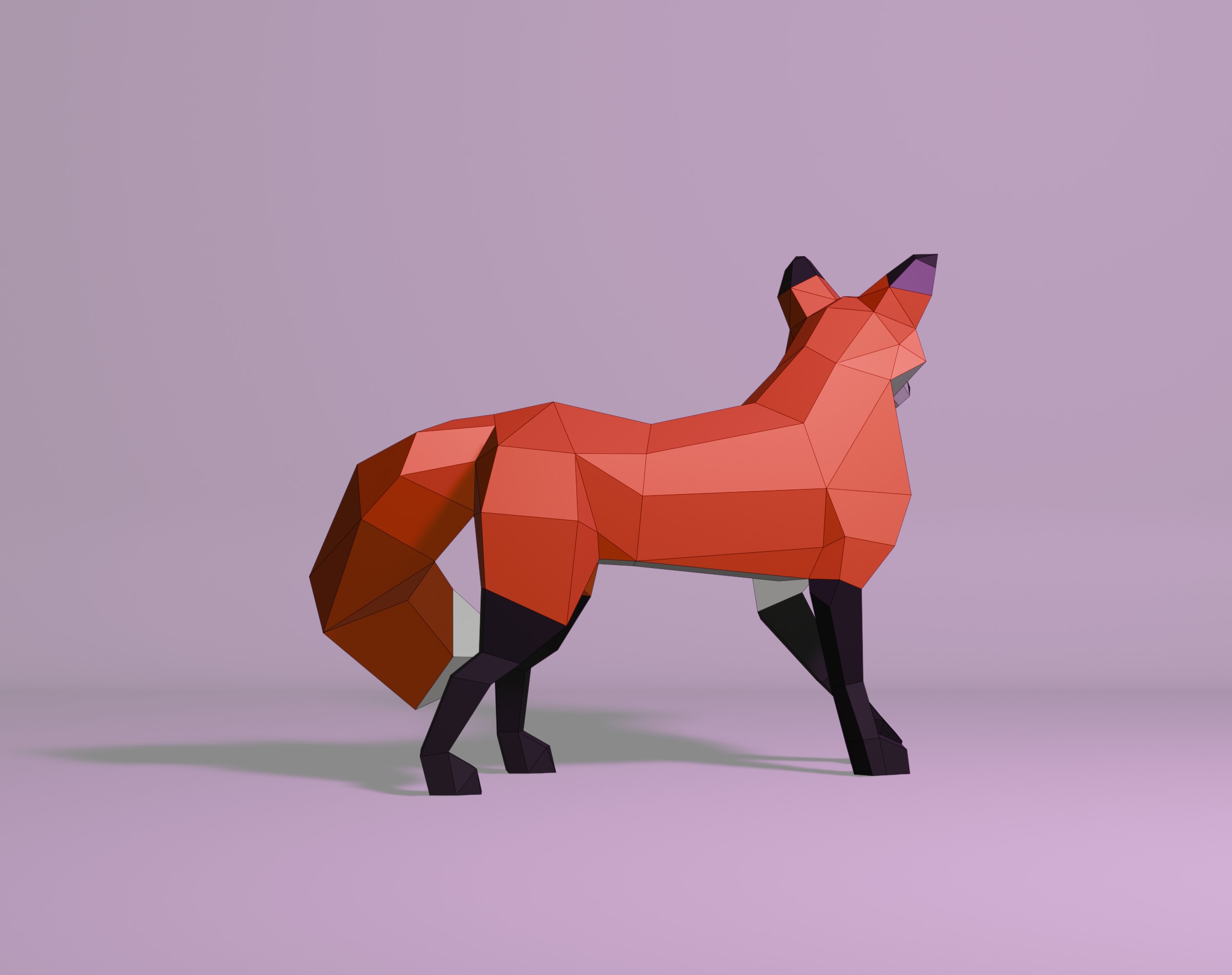 Polygonal Red Fox Low-poly 3D model_7