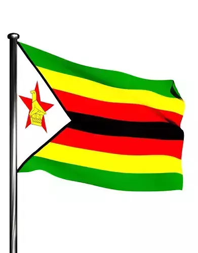 Zimbabwe National Flag 3D model