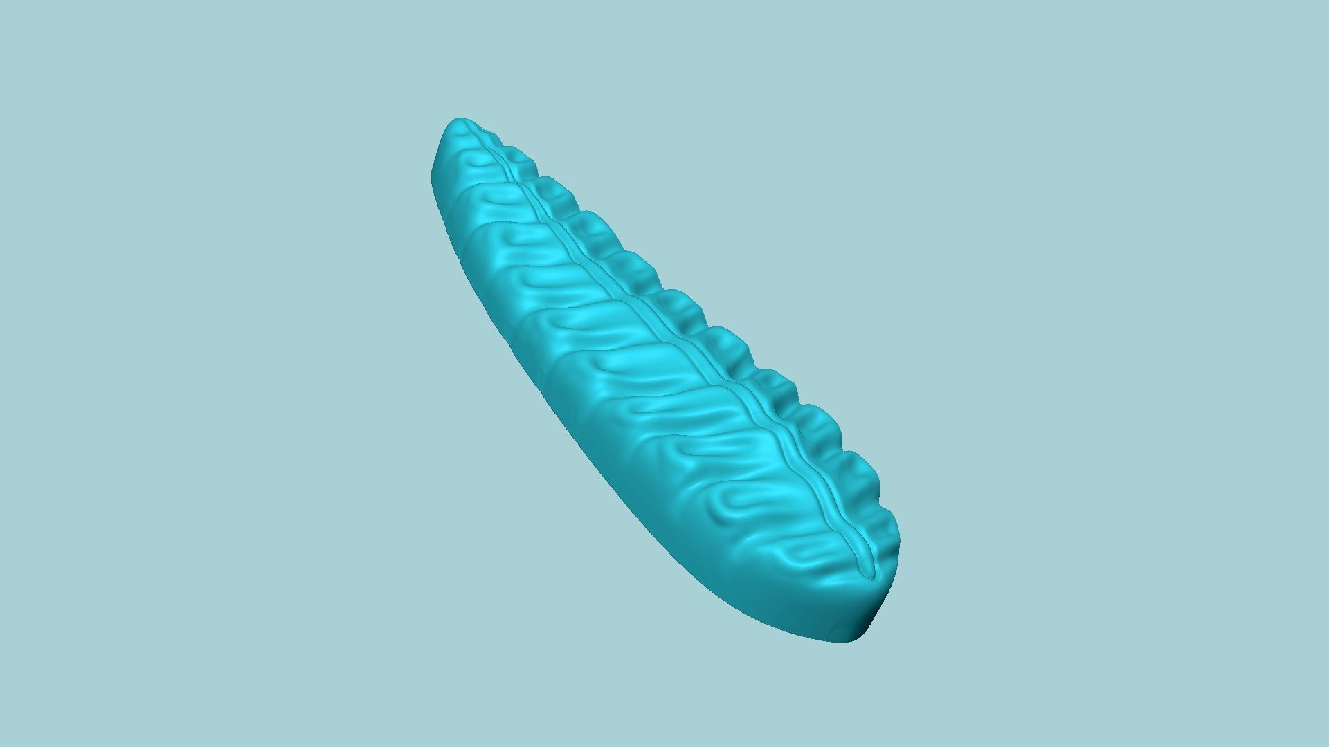 Fern Leaf Mould 03 - Artificial EVA Molding 3D print model_6