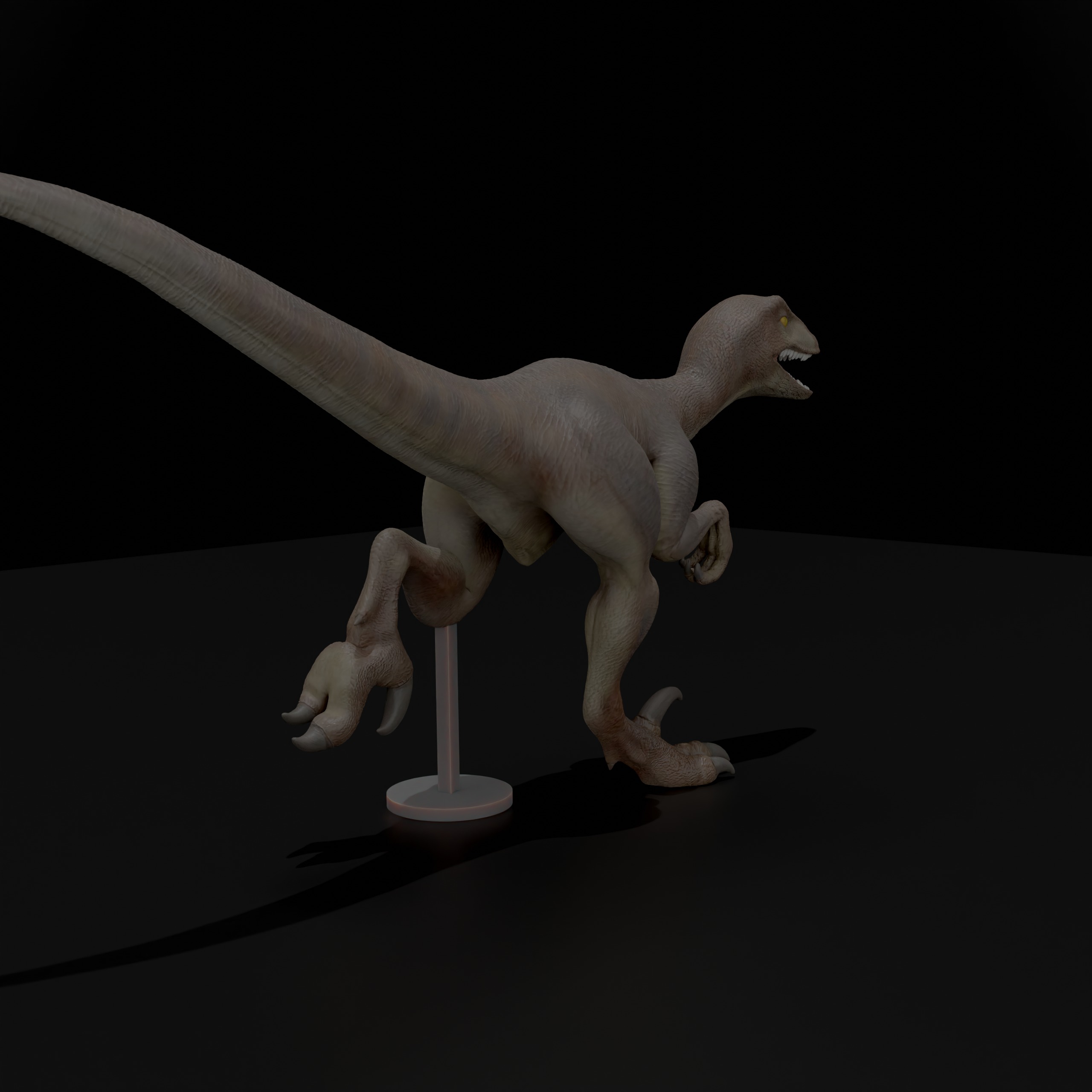 Velociraptor 3D print model_7