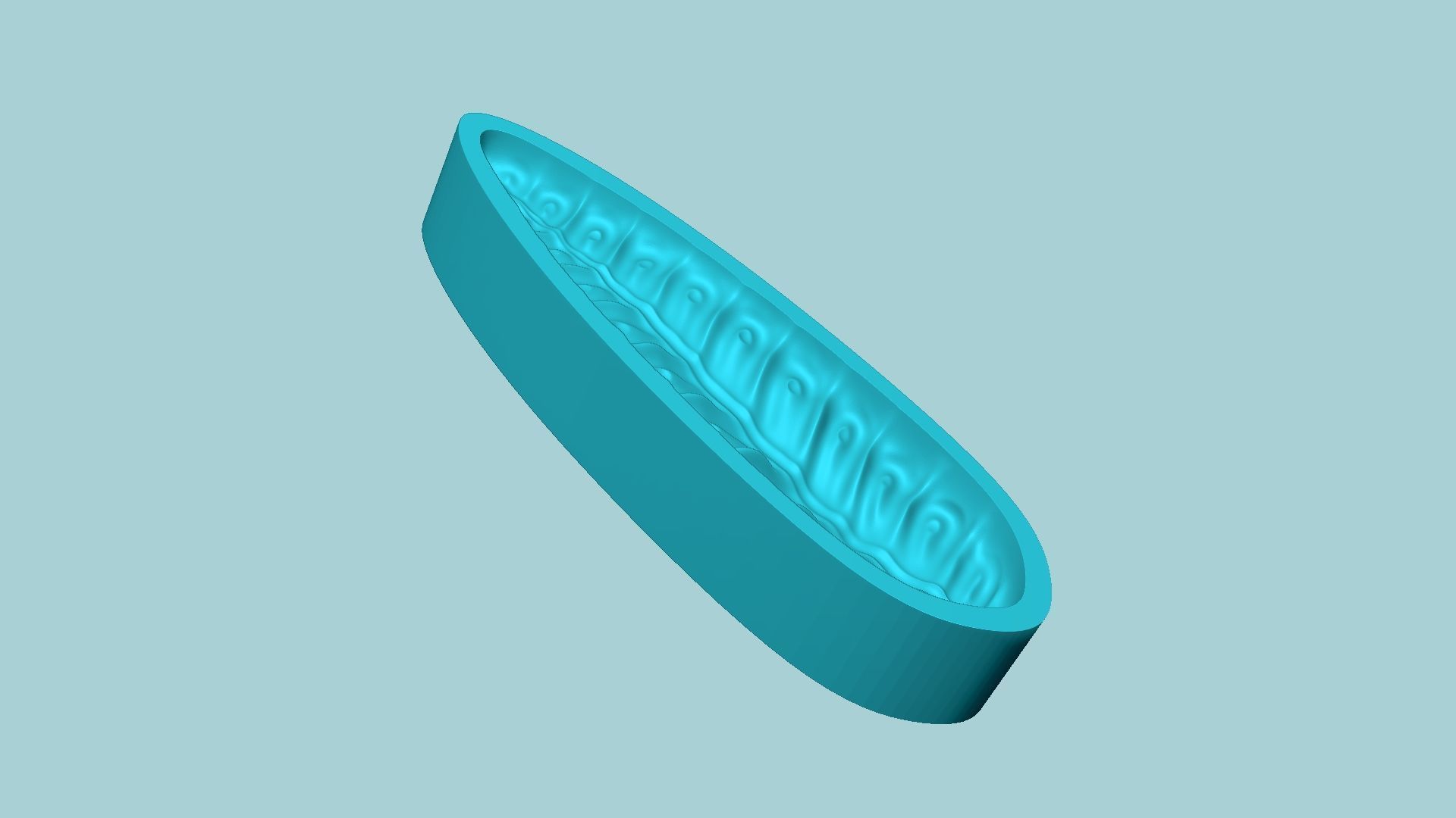 08 Fern Leaf Mould Collection - Artificial EVA Molding _53