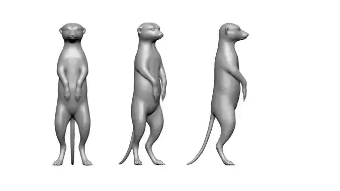 meerkat 3D print model