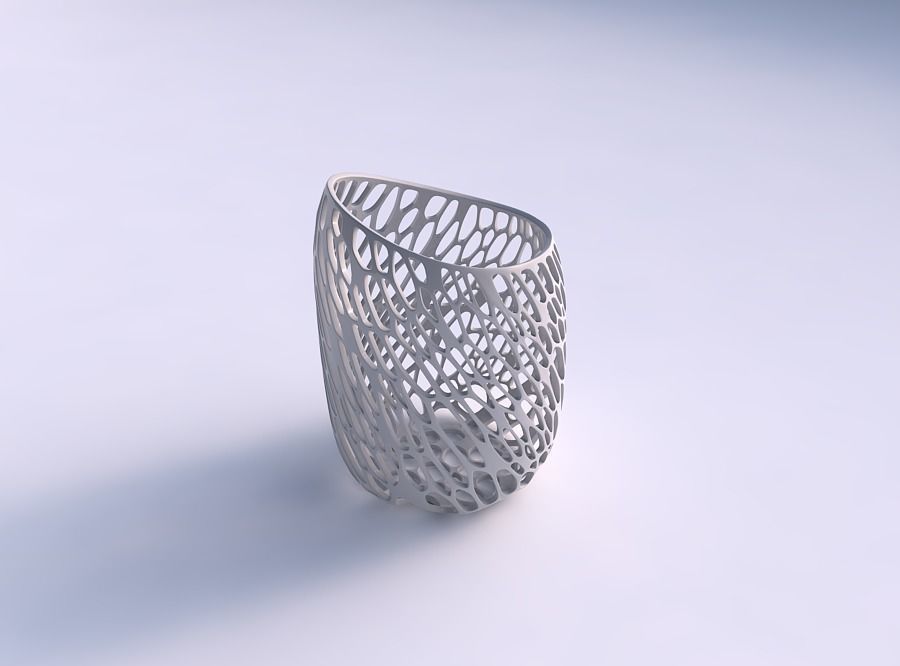 Vase twisted 2 with vertical organic lattice 3D print model_0