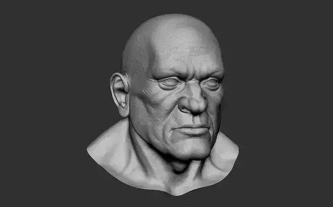Dwarf Head 3d Model 3D model