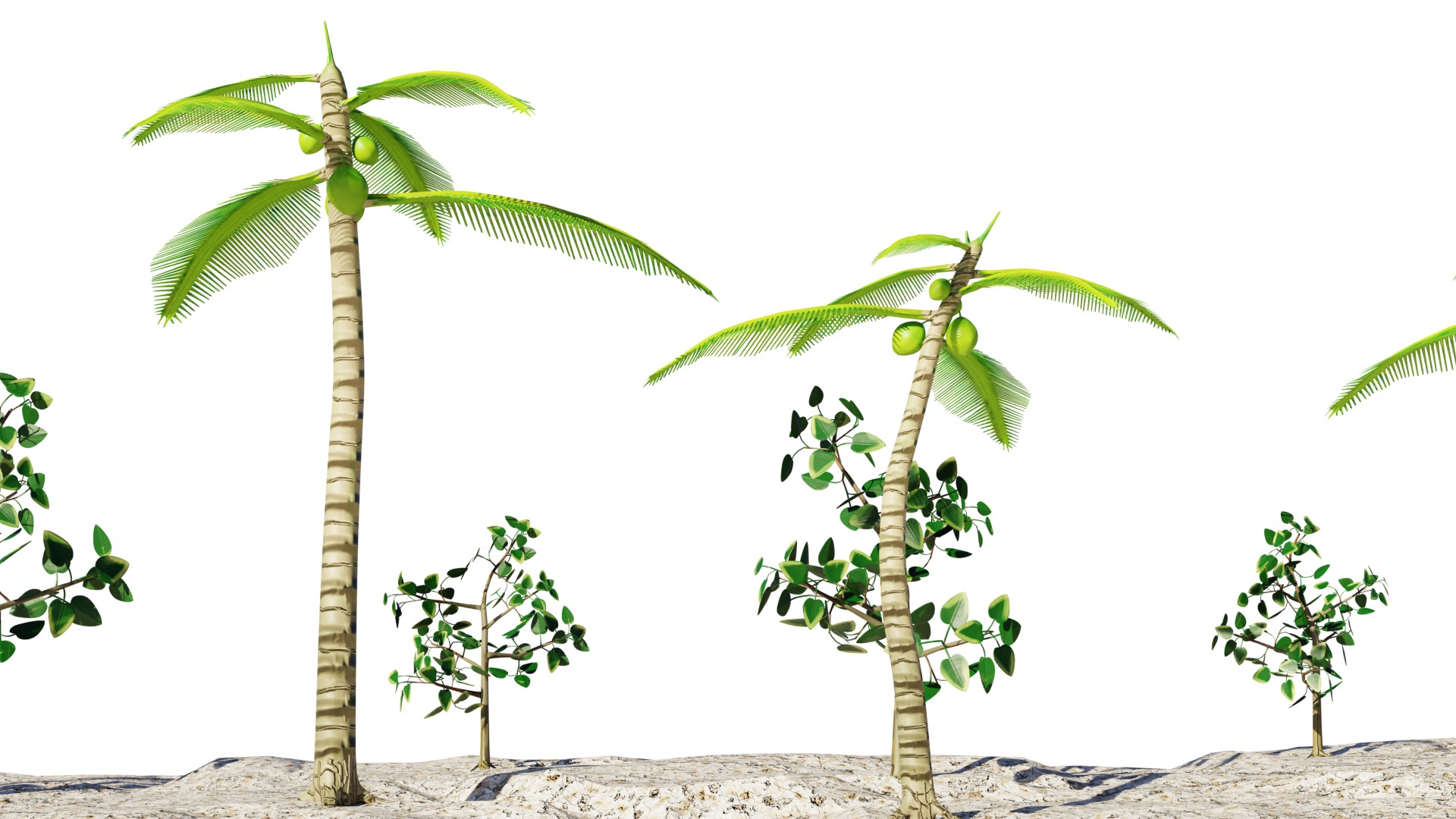 Beach Terrain 3D Model Low-poly 3D model_5