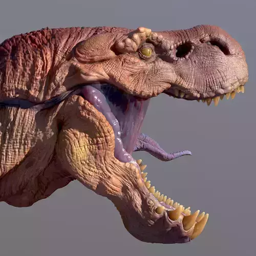 Anjanath from Monster Hunter Series 