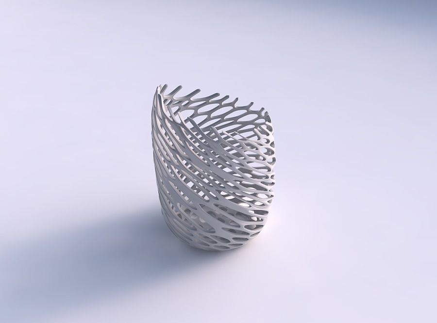 Vase twisted 2 with cracked and twisted organic lattice 3D print model_0