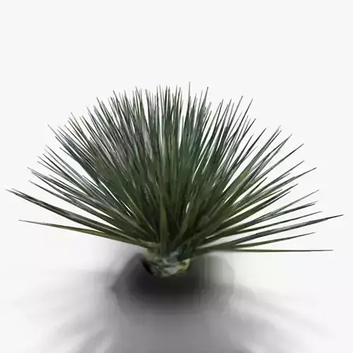 Desert Spike Plant game-ready