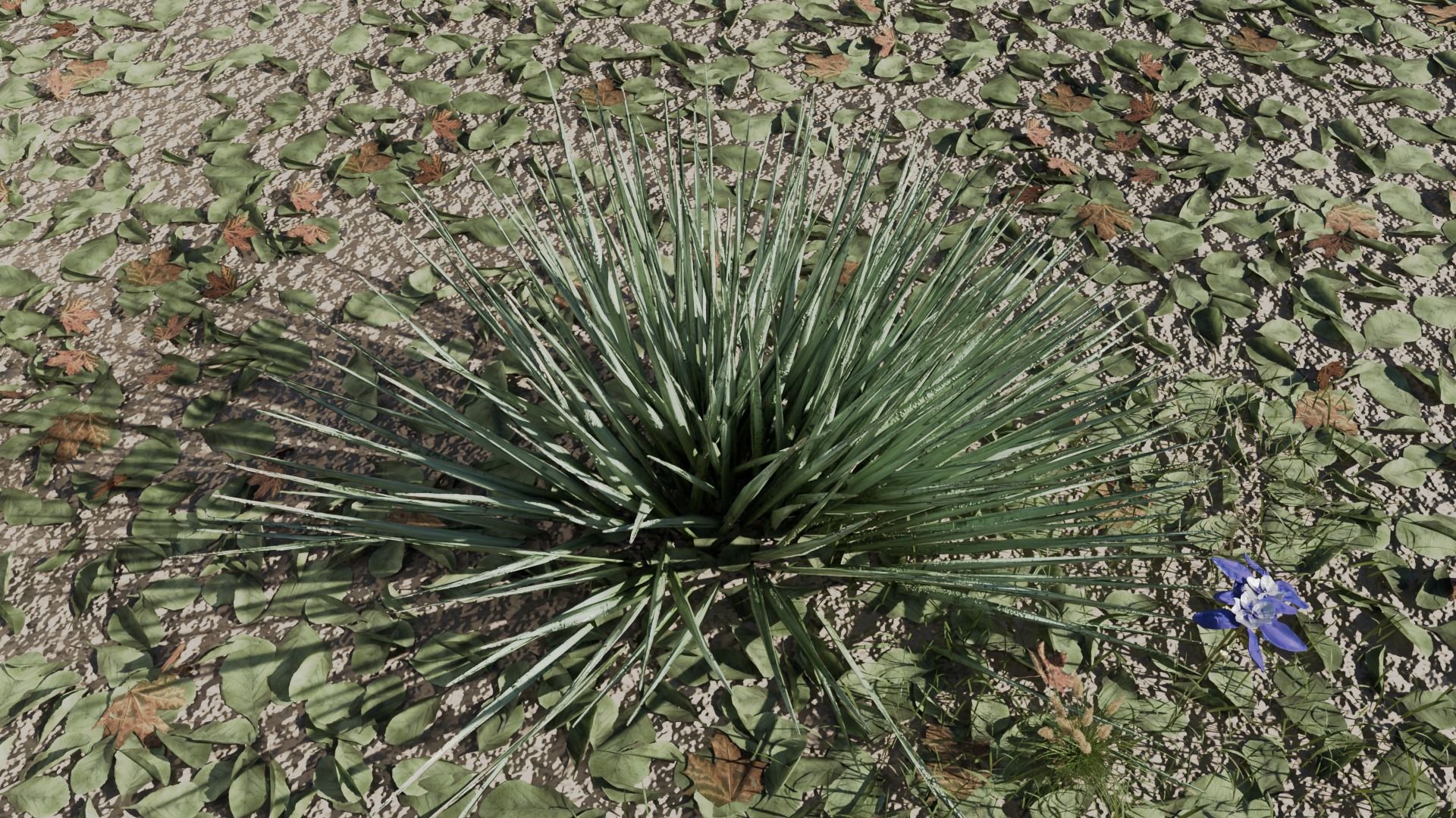 Desert Spike Plant game-ready Low-poly 3D model_3