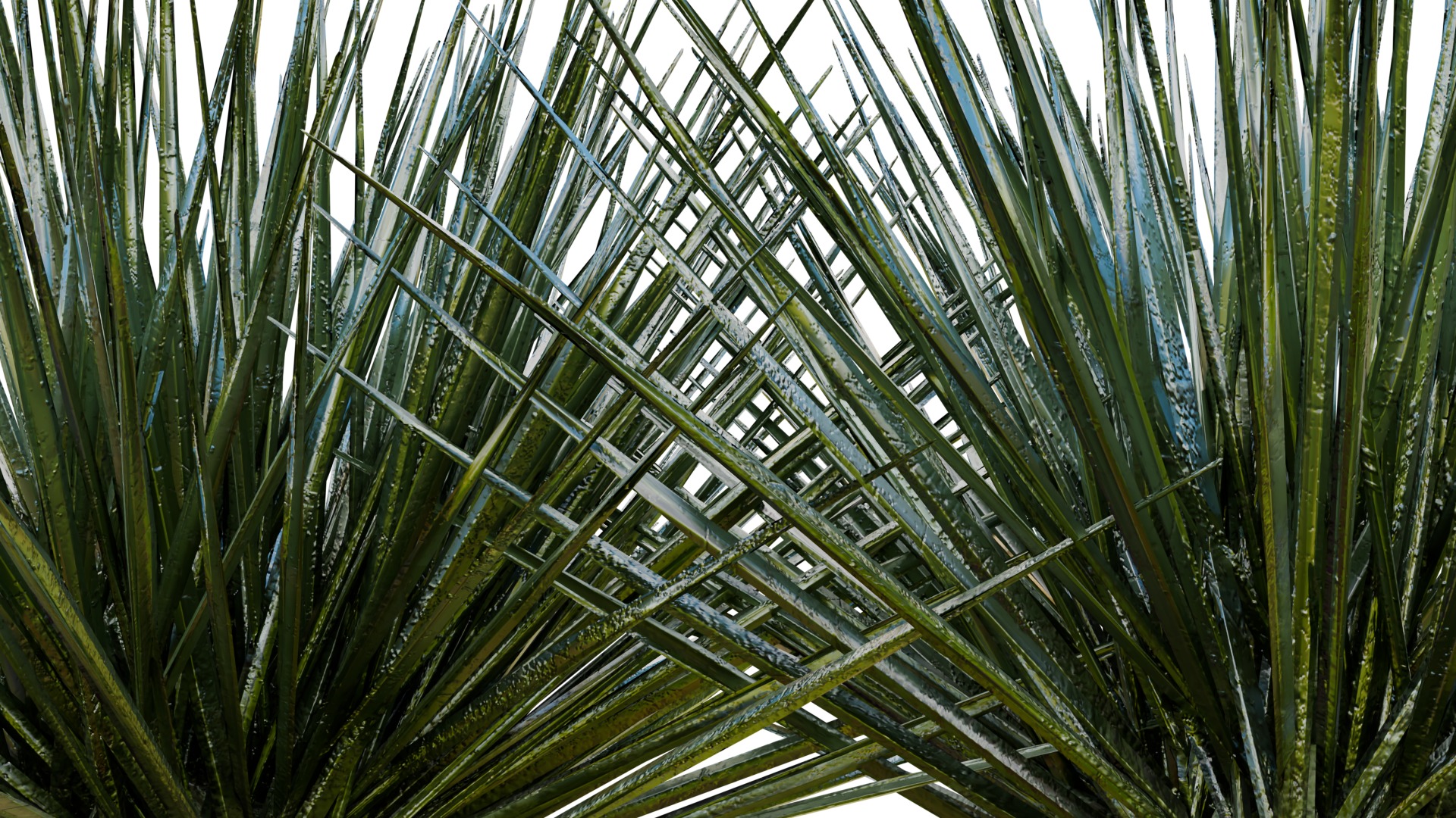 Desert Spike Plant game-ready Low-poly 3D model_5