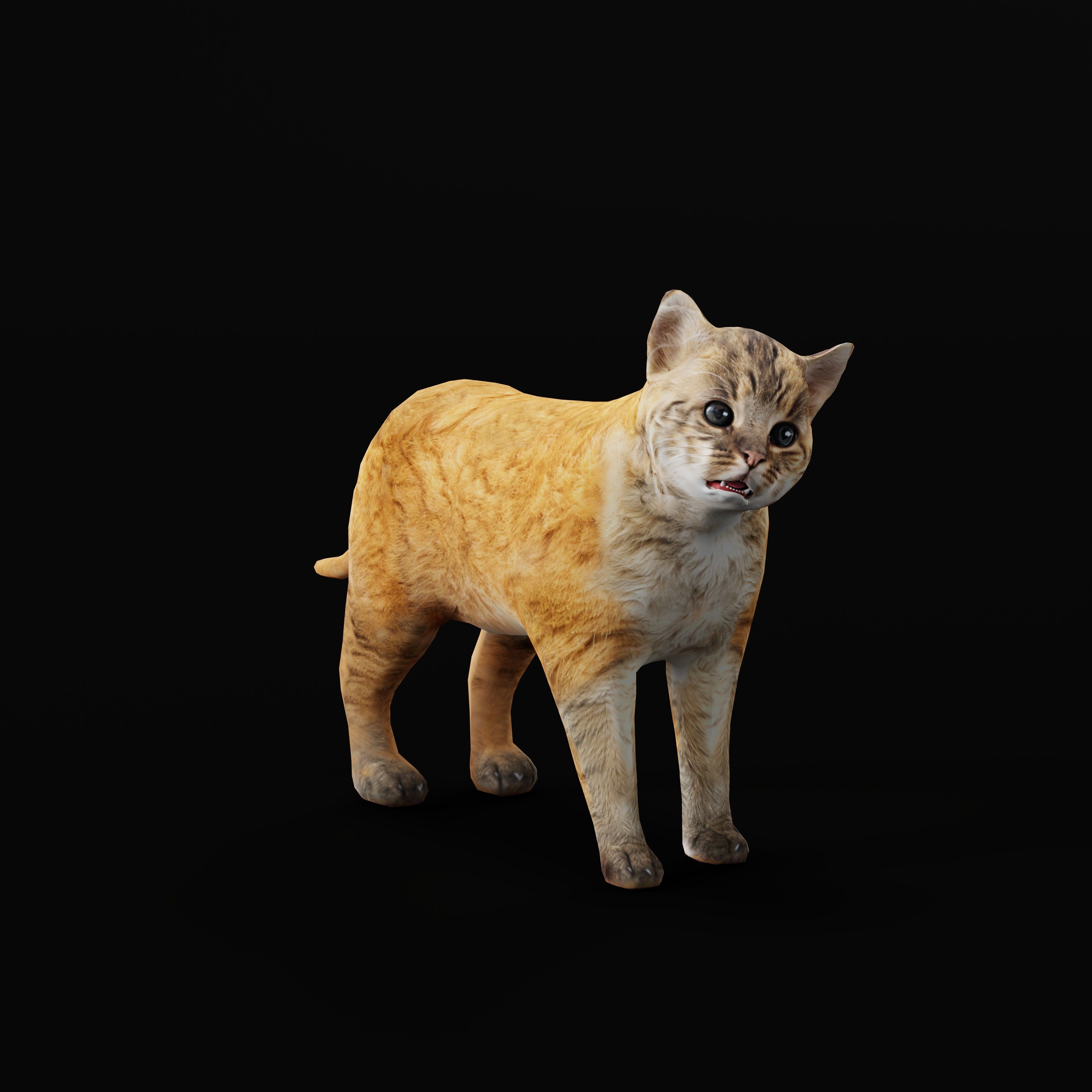 Asian Golden Kitten Cat Low-poly 3D model_37