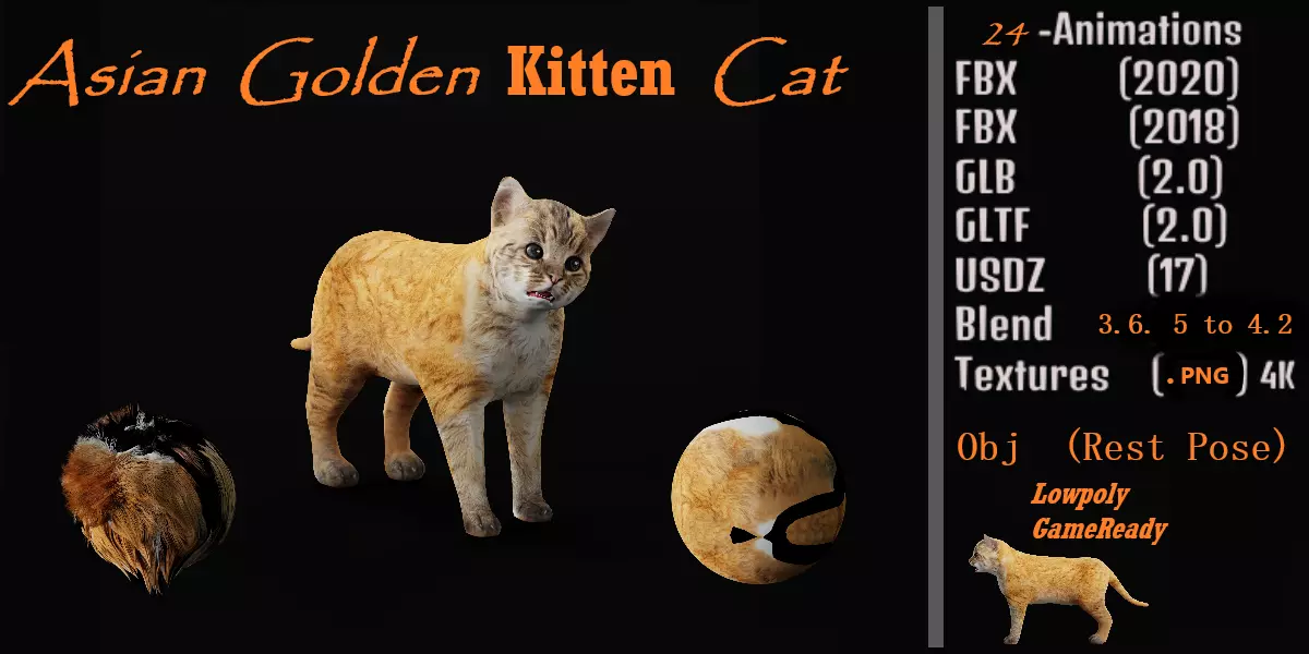 Asian Golden Kitten Cat Low-poly 3D model_0