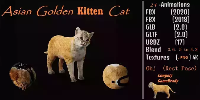 Asian Golden Kitten Cat Low-poly 3D model