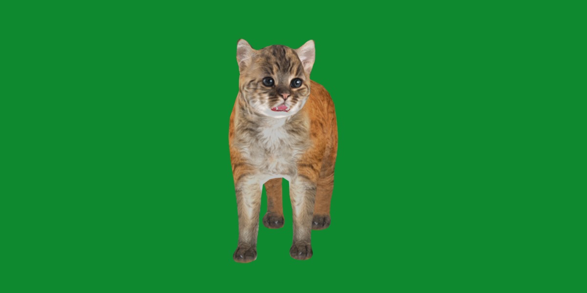 Asian Golden Kitten Cat Low-poly 3D model_10