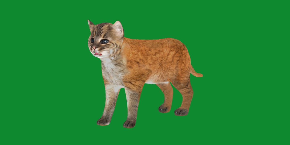 Asian Golden Kitten Cat Low-poly 3D model_4