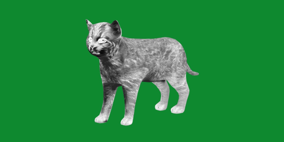 Asian Golden Kitten Cat Low-poly 3D model_7