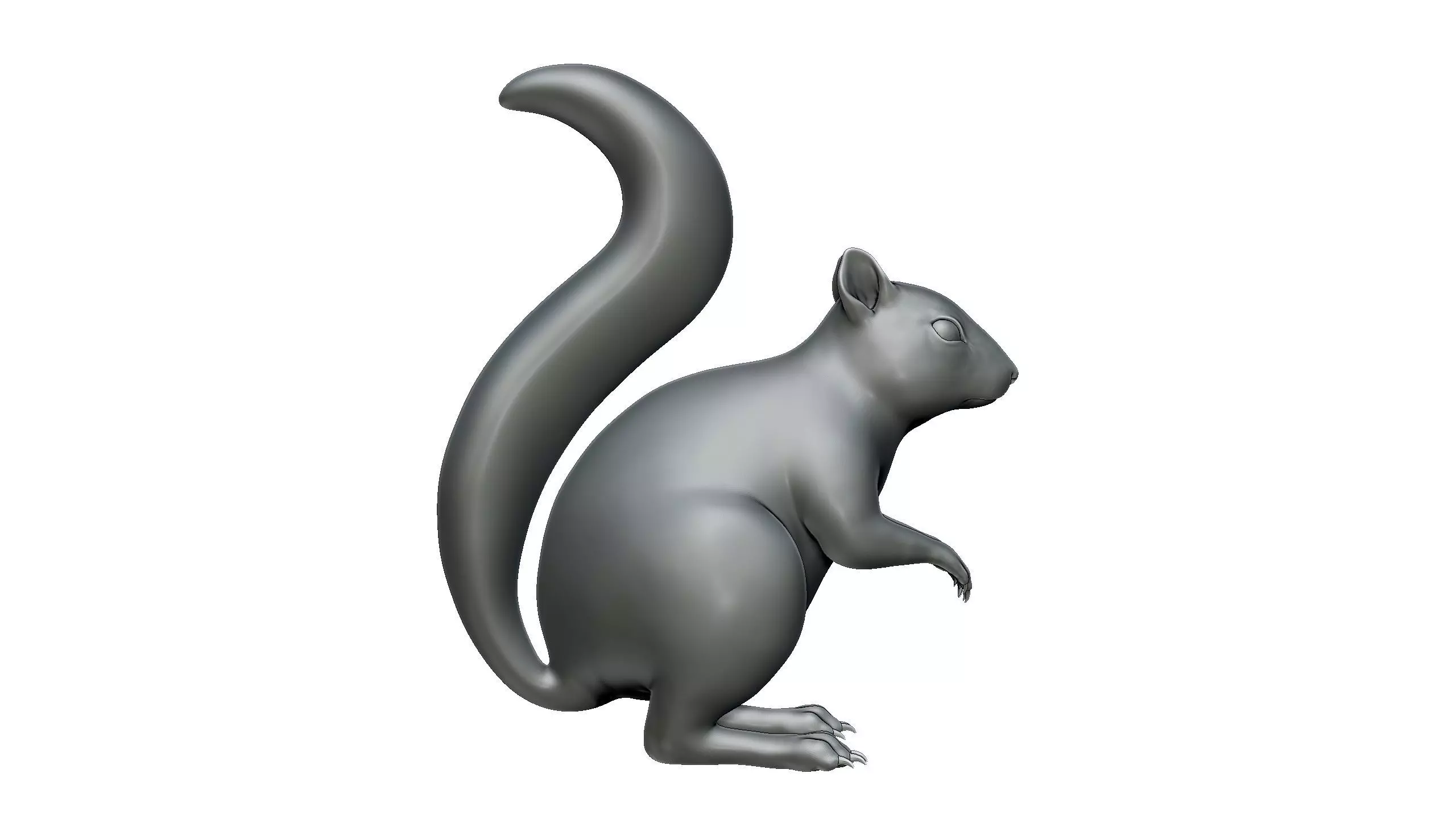 Squirrel 3D print model