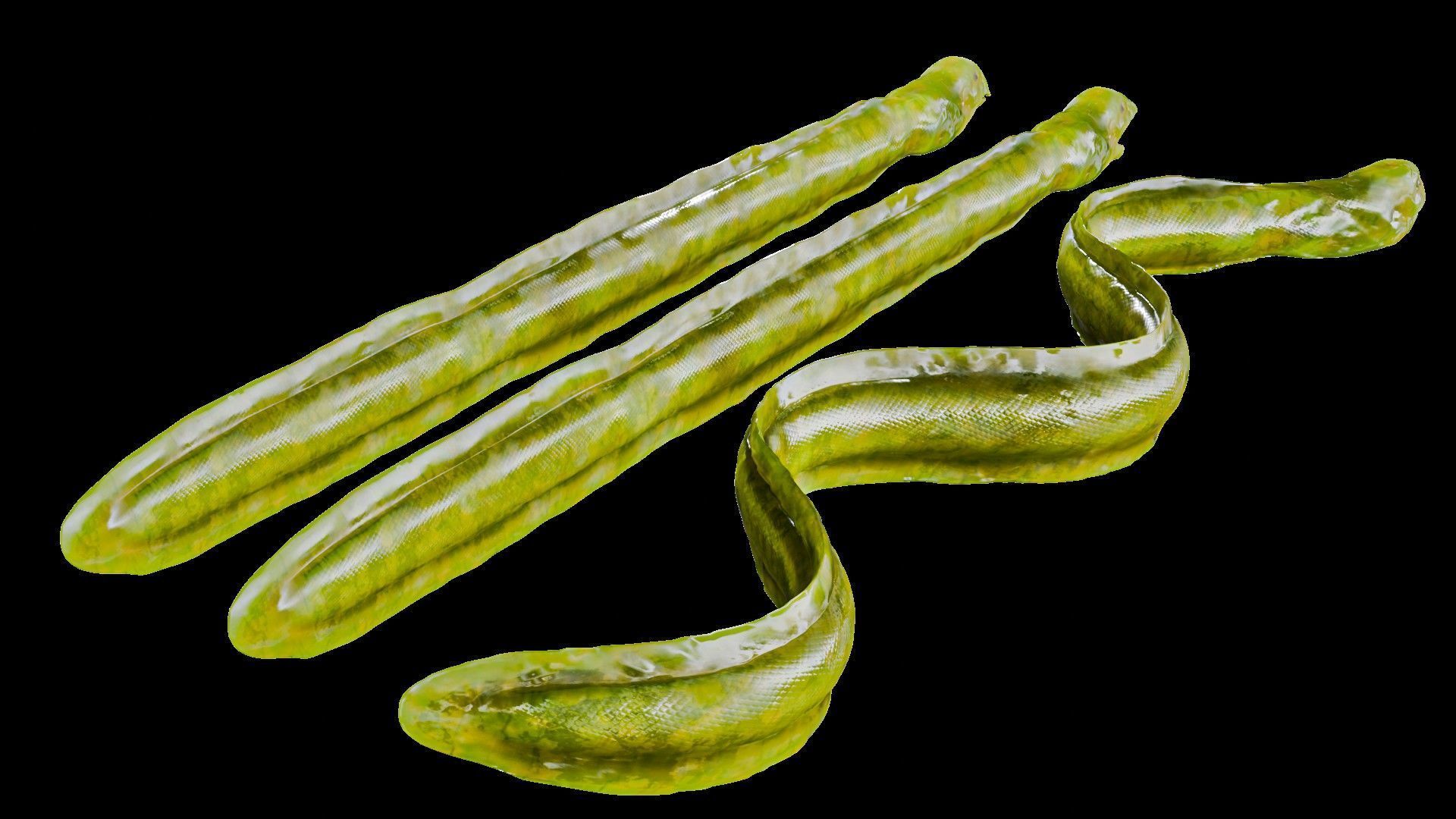 Sea Snake Low-poly 3D model_2