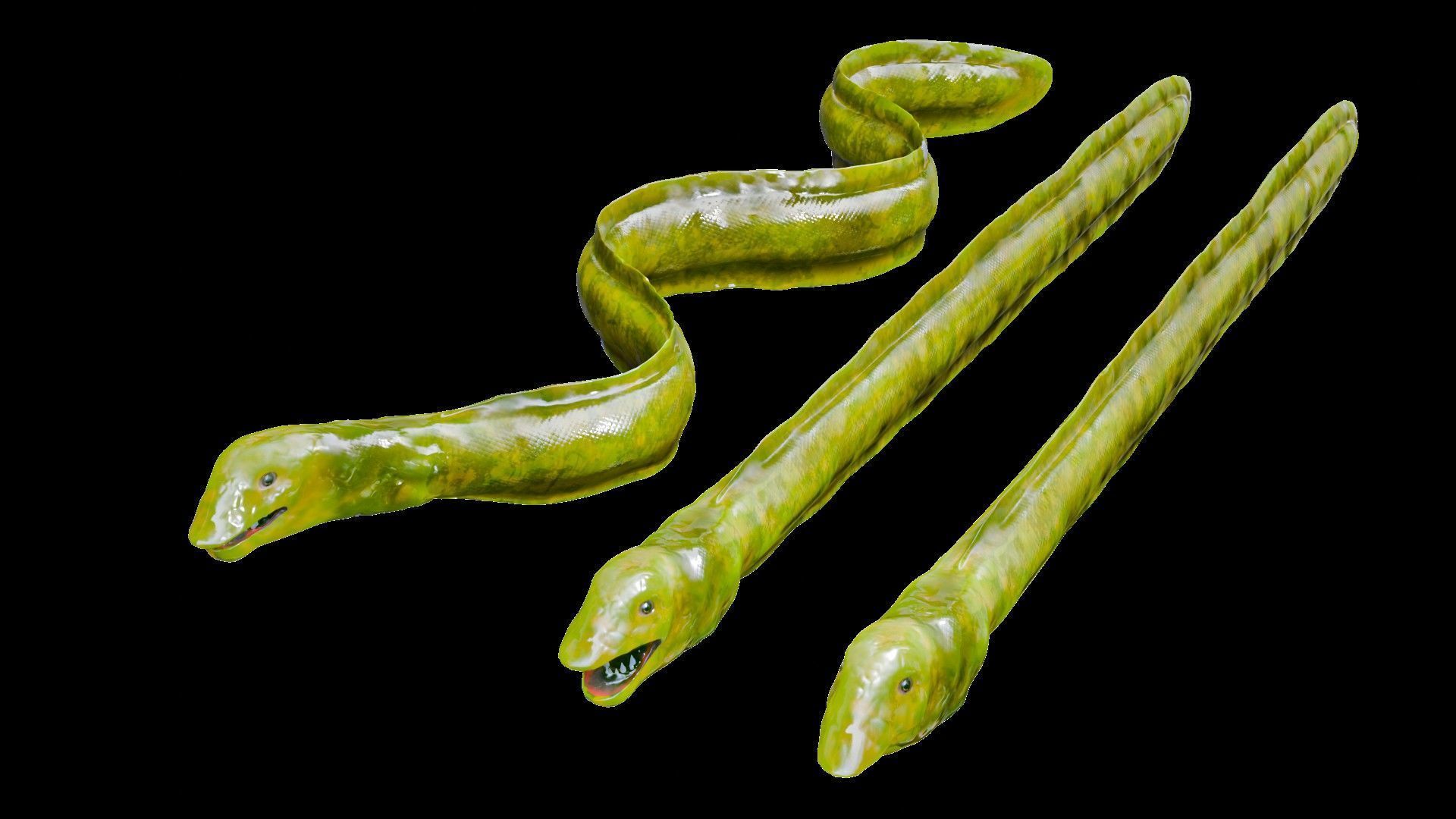 Sea Snake Low-poly 3D model_1