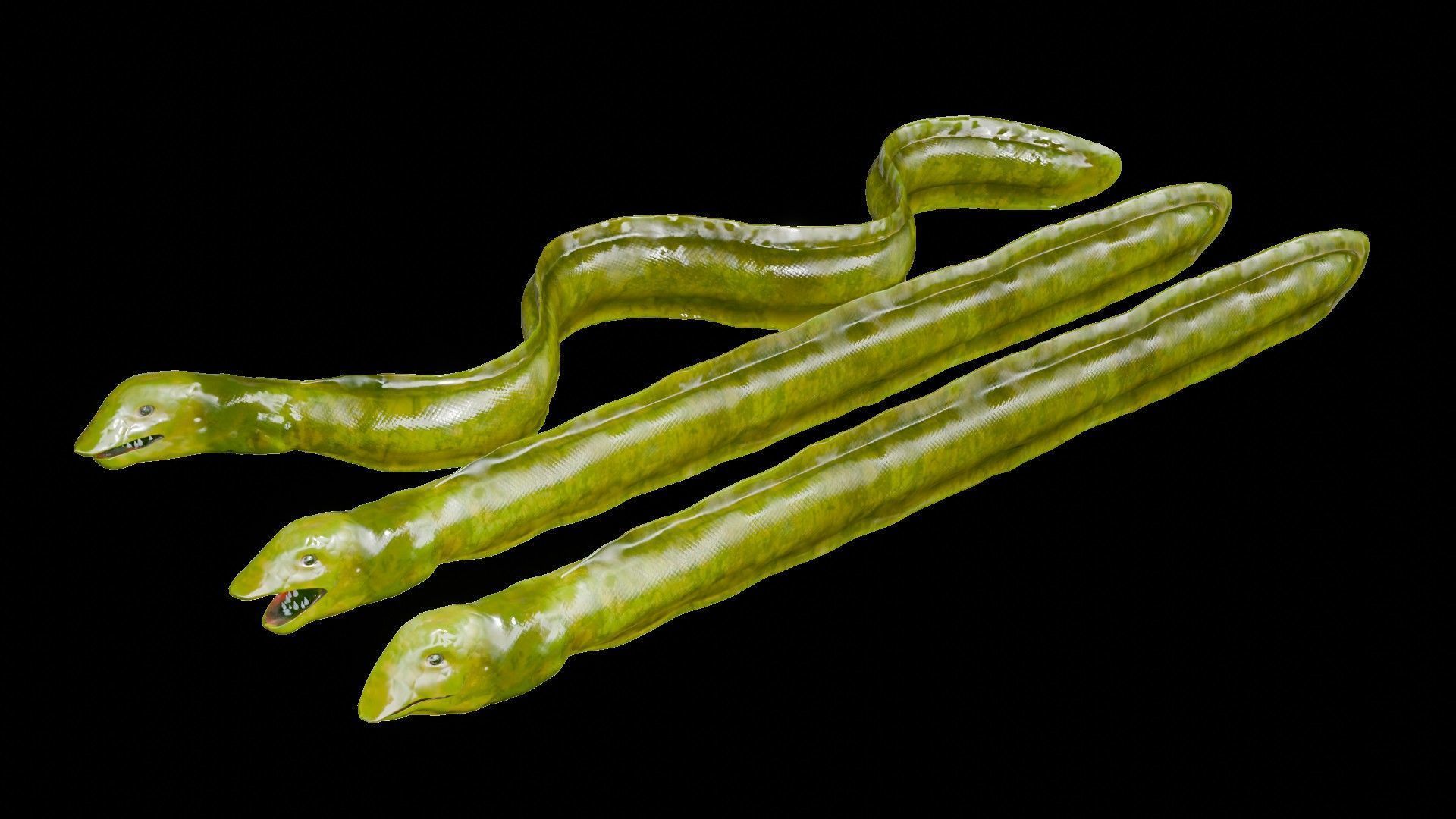 Sea Snake Low-poly 3D model_8