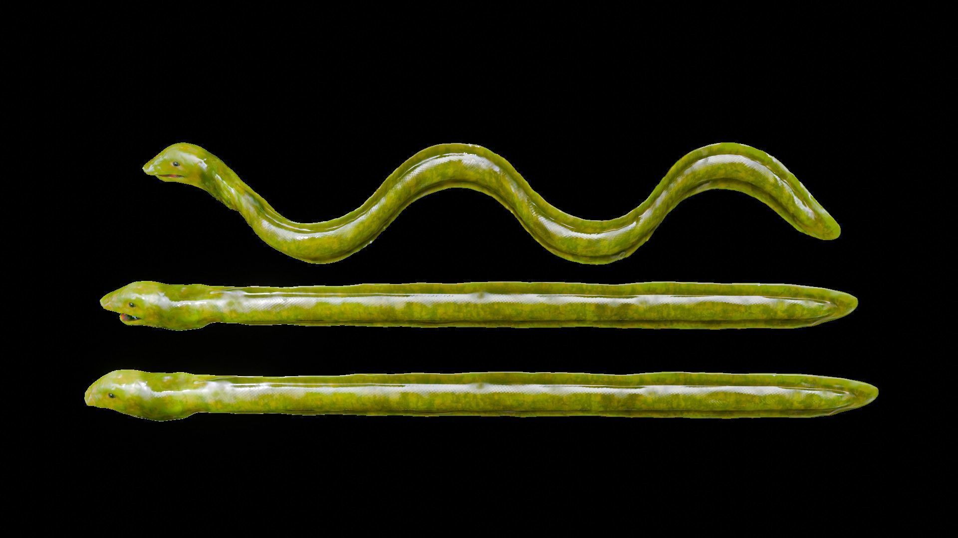 Sea Snake Low-poly 3D model_10