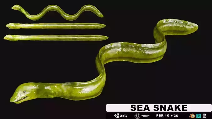 Sea Snake Low-poly 3D model