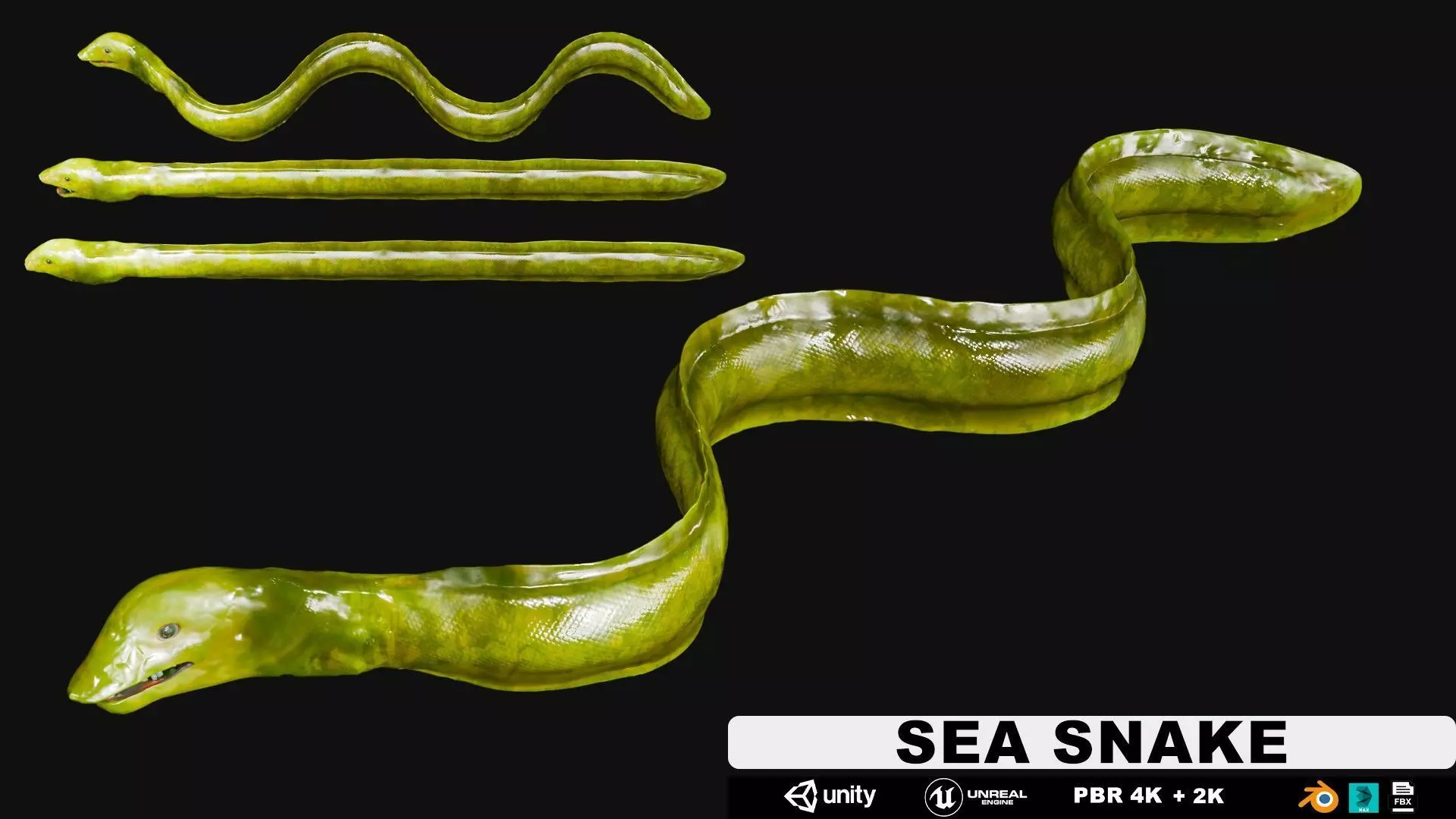 Sea Snake Low-poly 3D model_0