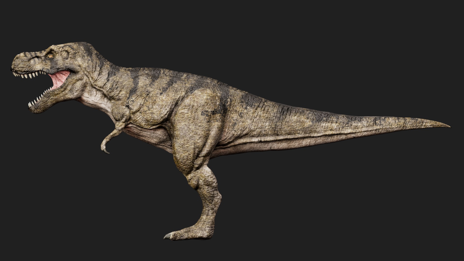 dinosaur Low-poly 3D model_4