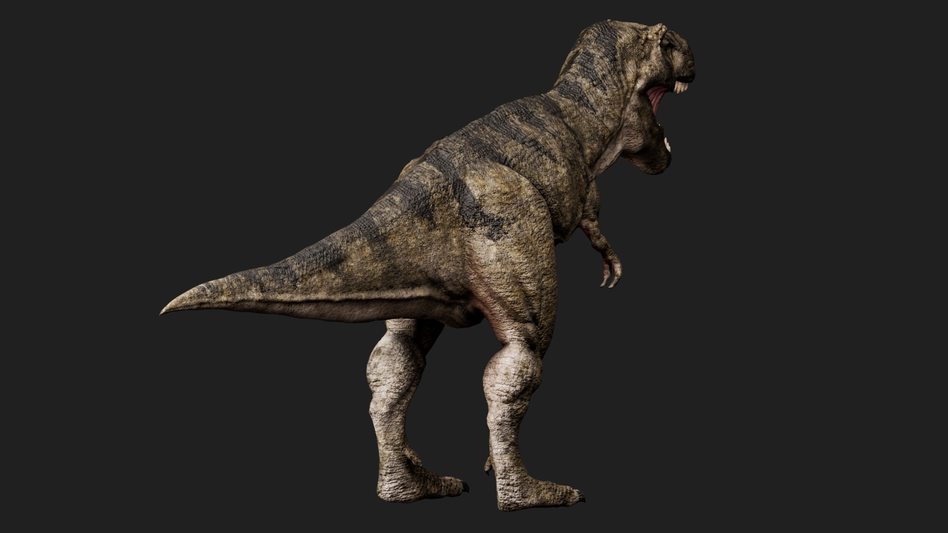dinosaur Low-poly 3D model_2
