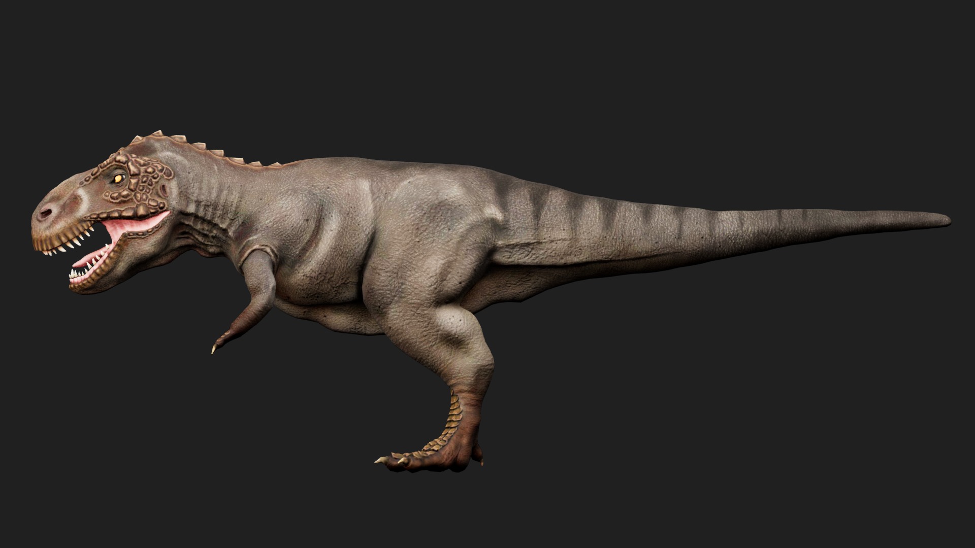dinosaur Low-poly 3D model_4