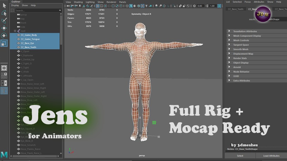 Base Mesh - Jens - full rig - PBR lowpoly Low-poly 3D model_2