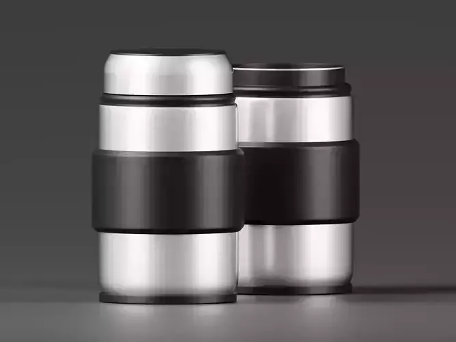 Stainless Steel Portable Vacuum Insulated Flasks 3D Model