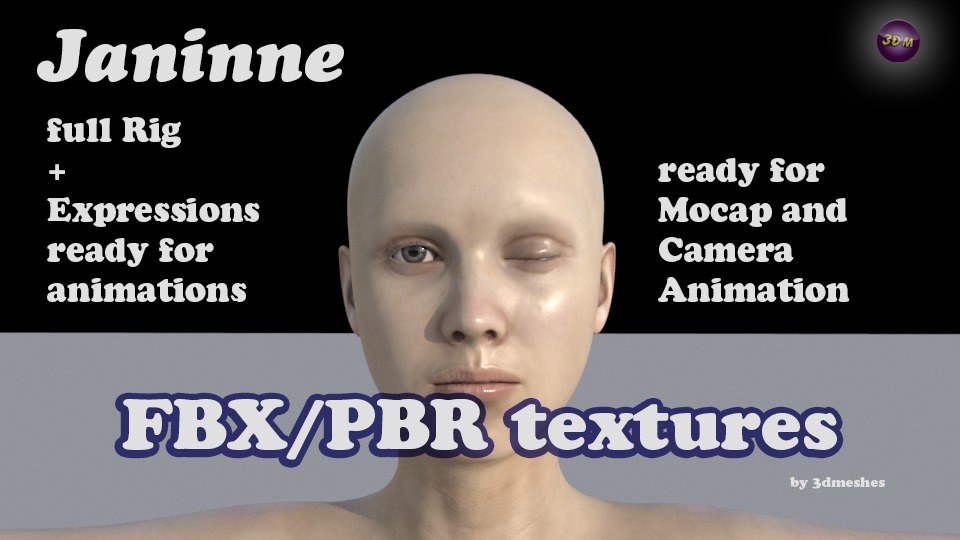 Base Mesh - Janinne - full rig - PBR lowpoly Low-poly 3D model_19