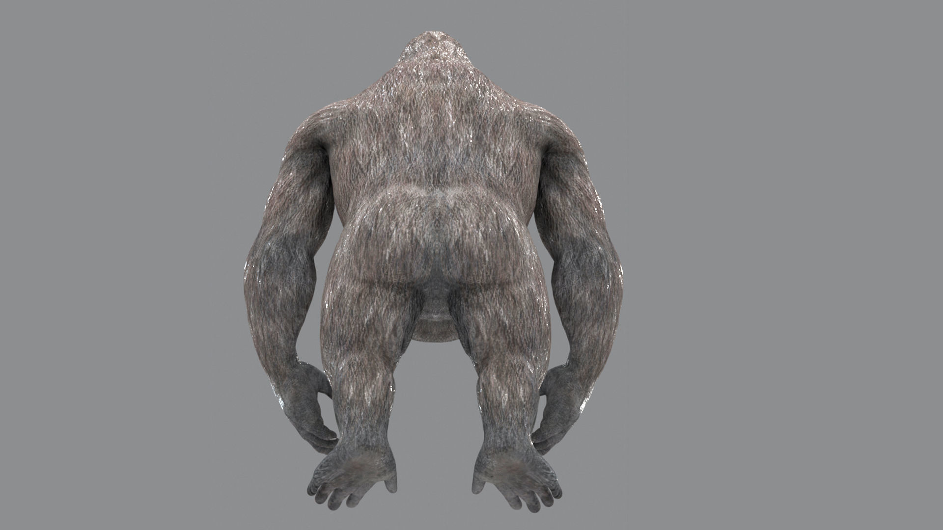 Gorilla 3D Model 3D model_4