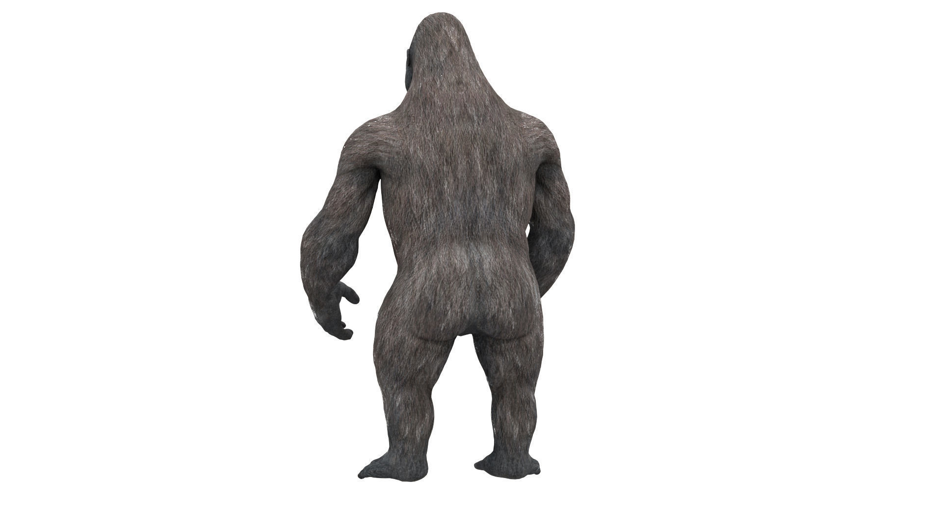 Gorilla 3D Model 3D model_18