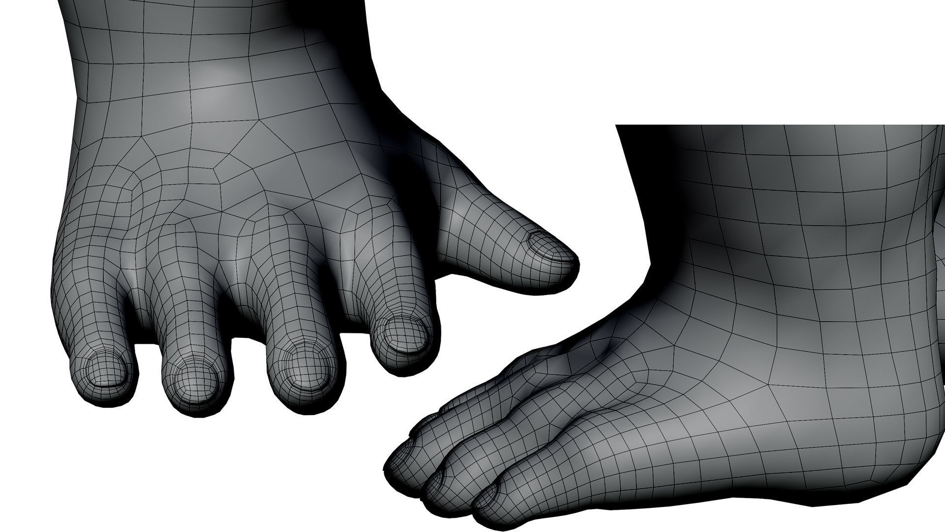 Gorilla 3D Model 3D model_33