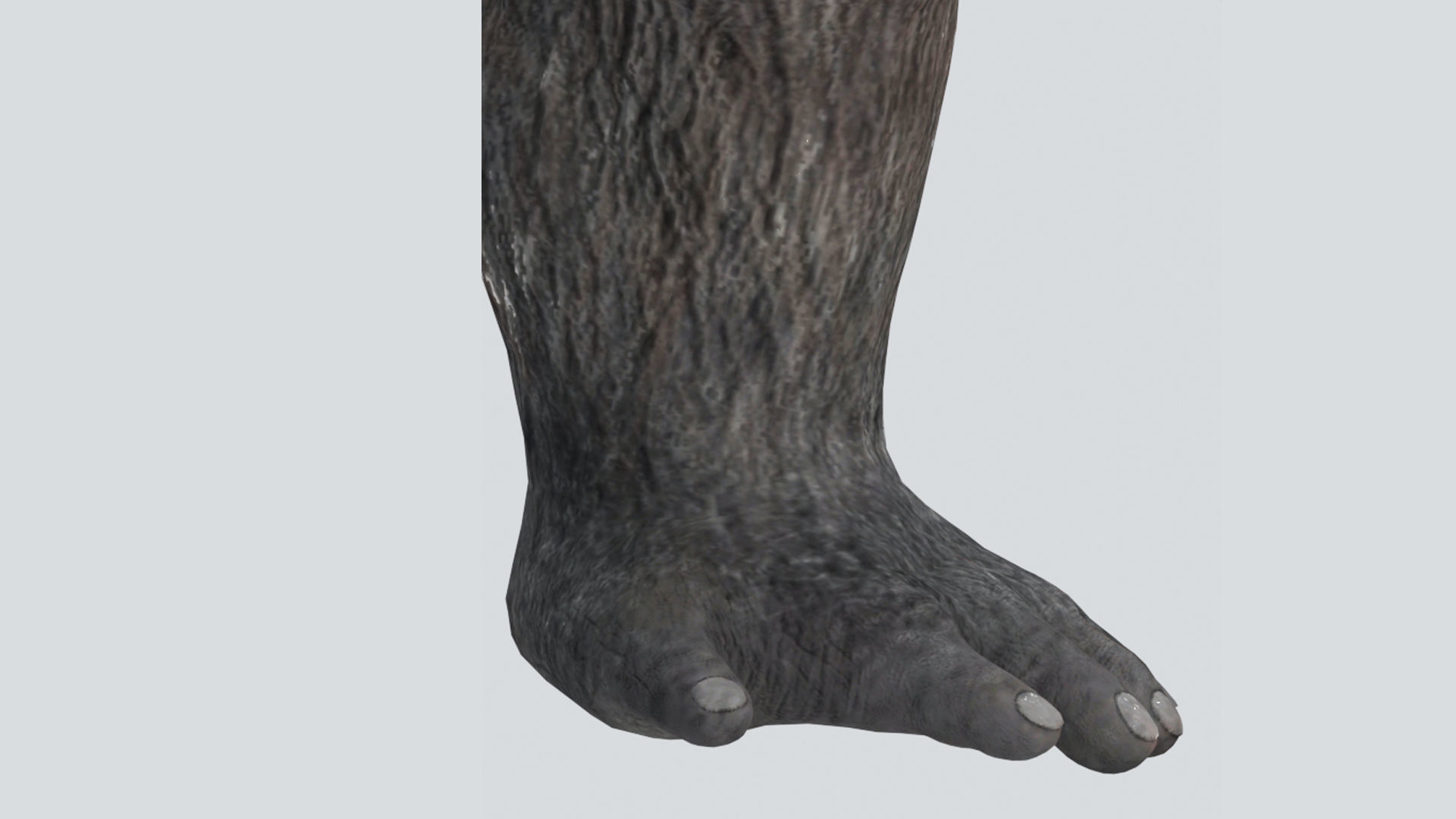 Gorilla 3D Model 3D model_7