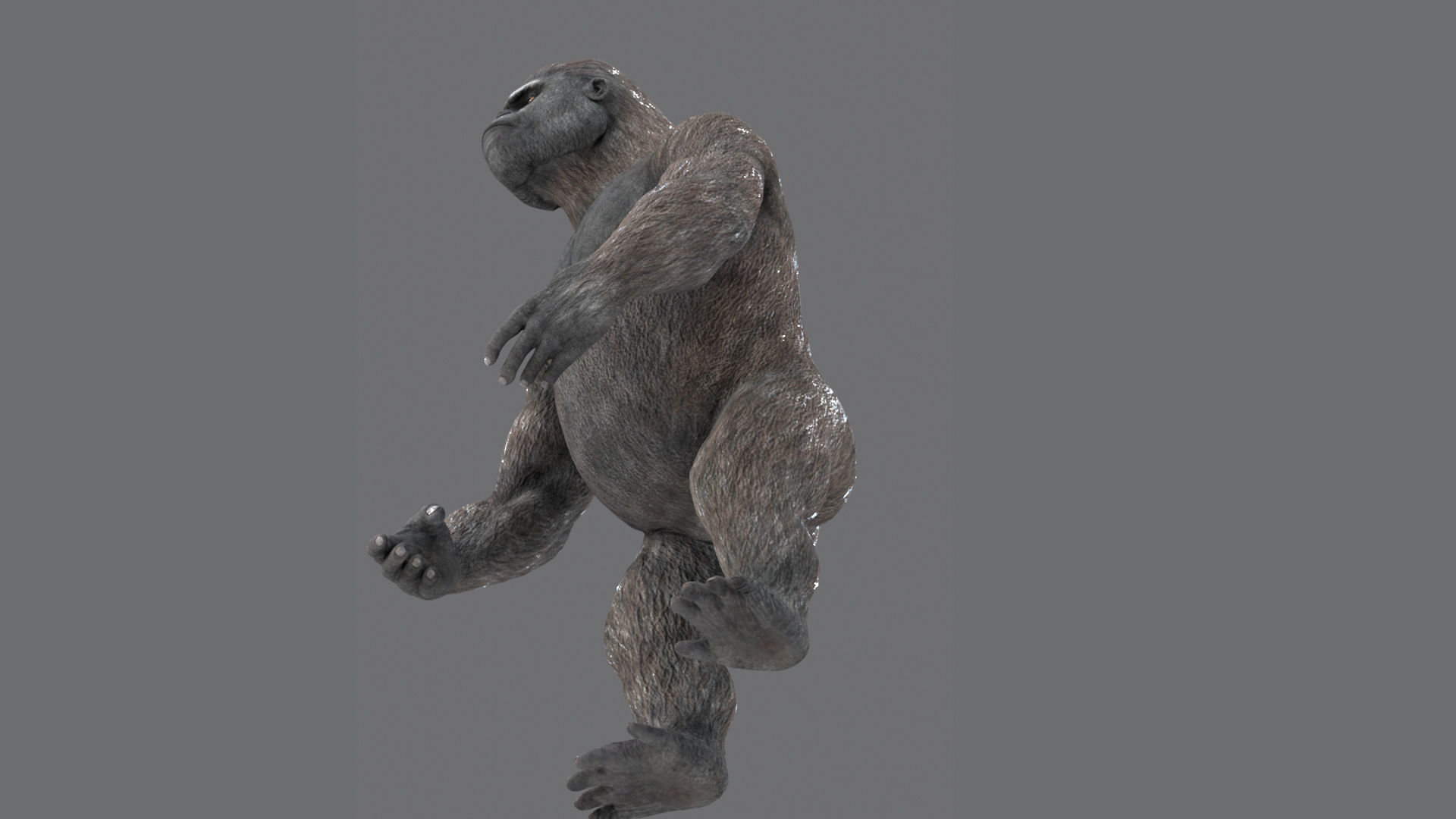 Gorilla 3D Model 3D model_5