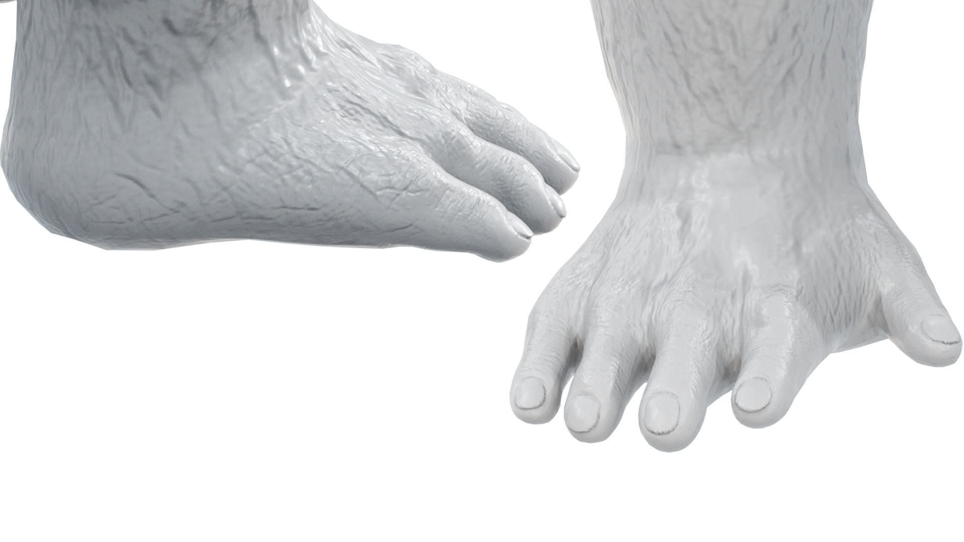 Gorilla 3D Model 3D model_17