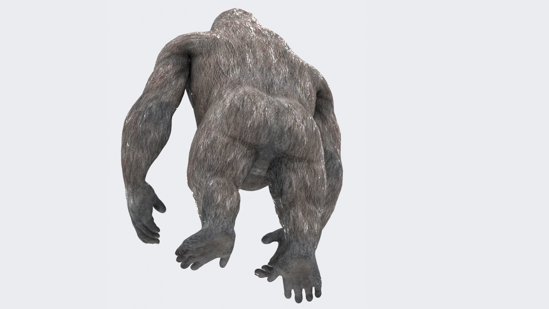 Gorilla 3D Model 3D model_3