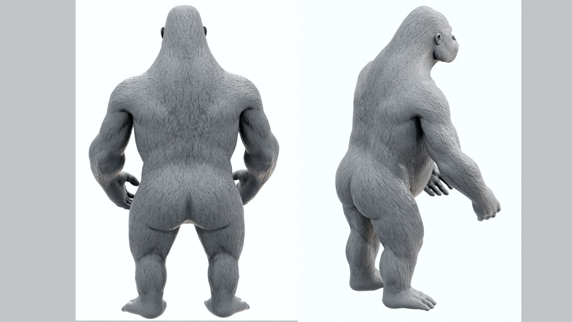 Gorilla 3D Model 3D model_13