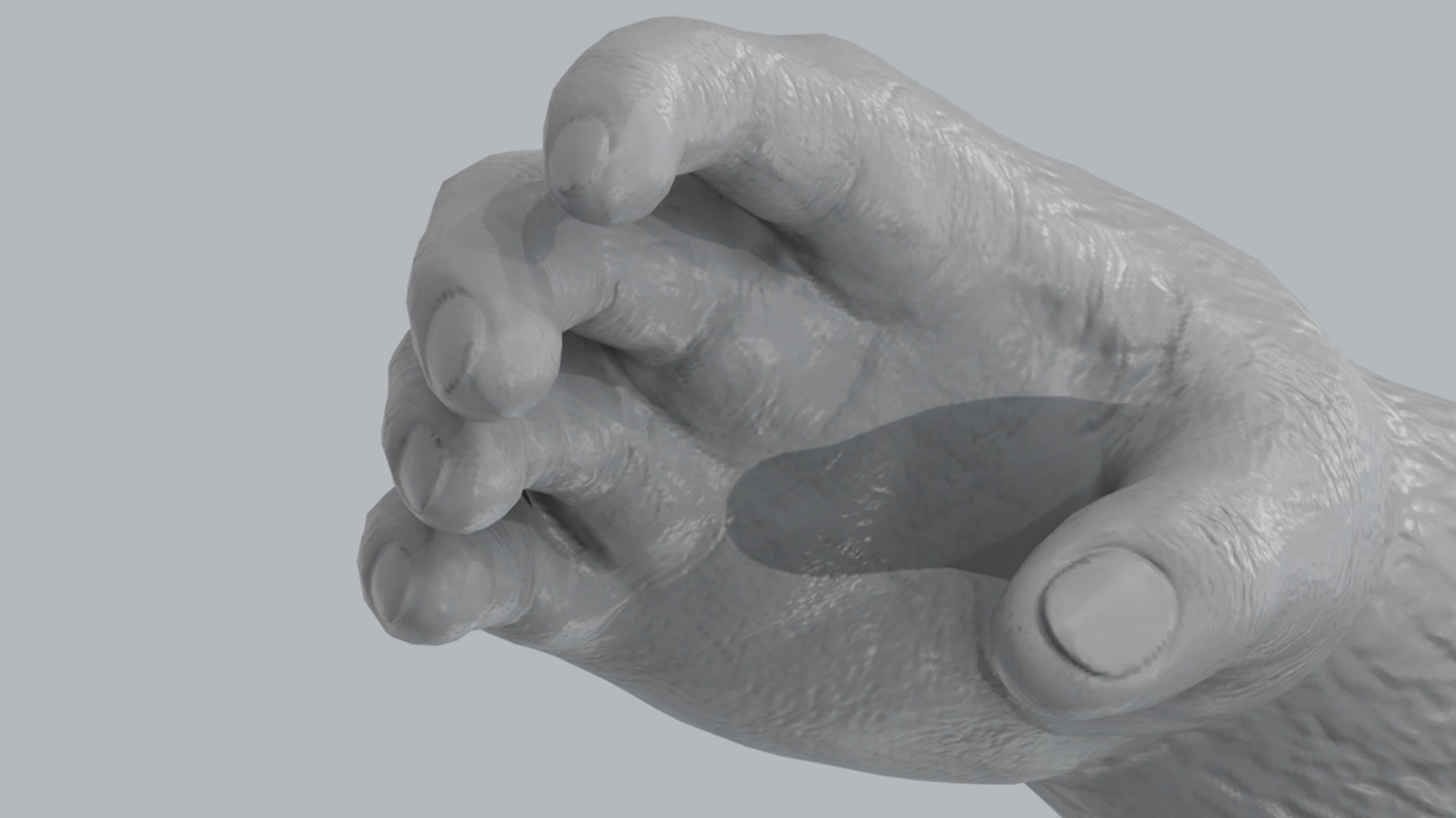 Gorilla 3D Model 3D model_15