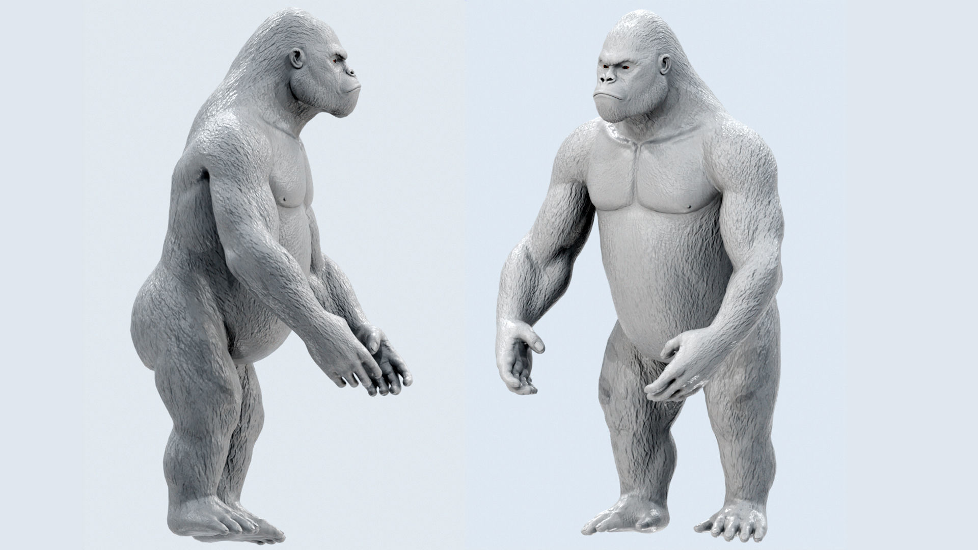 Gorilla 3D Model 3D model_11