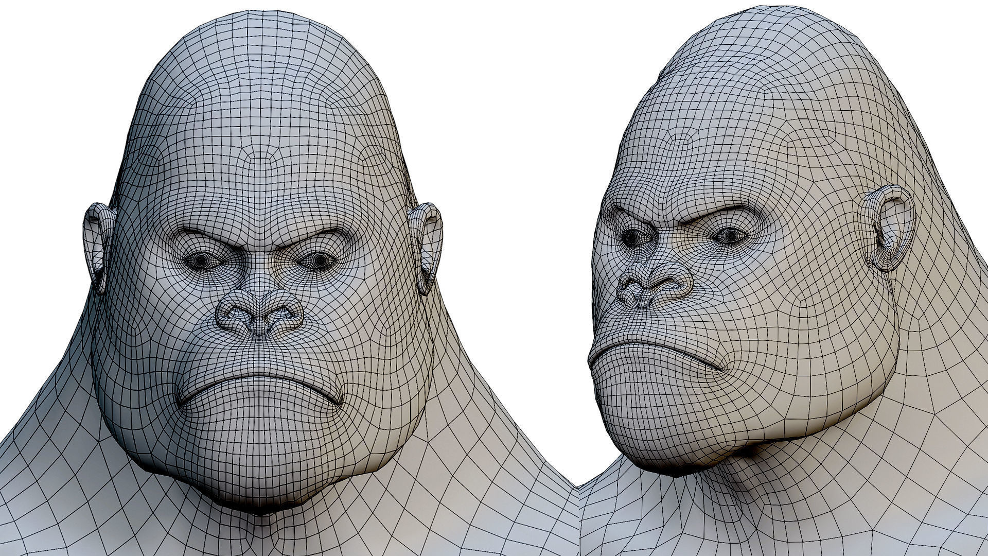 Gorilla 3D Model 3D model_31