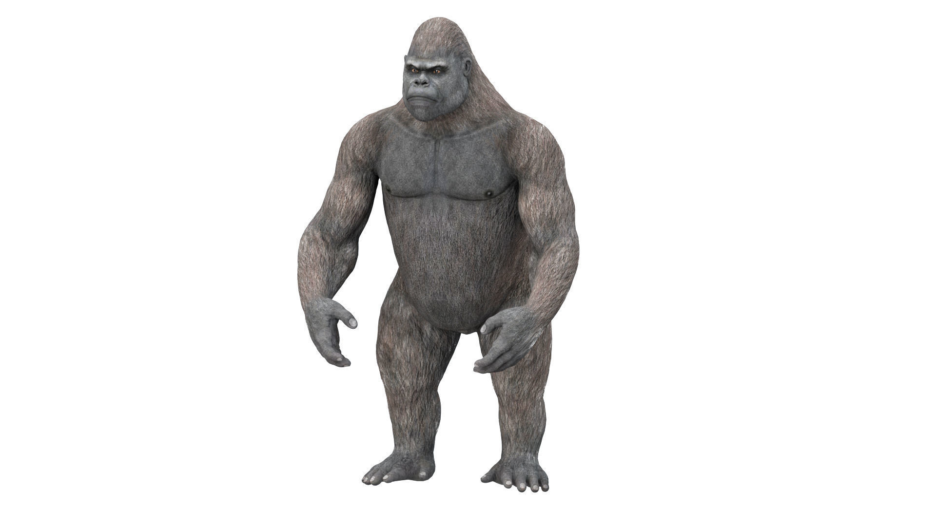 Gorilla 3D Model 3D model_22
