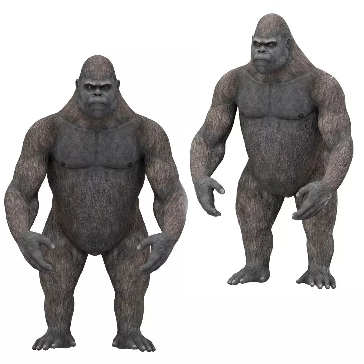 Gorilla 3D Model 3D model_0