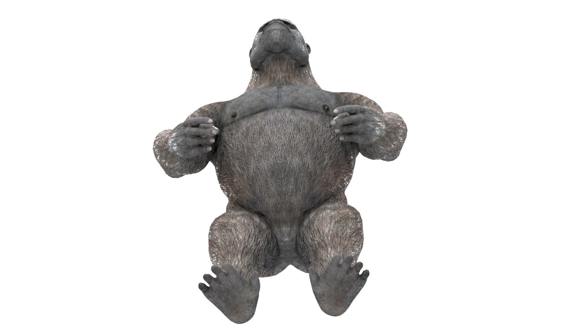 Gorilla 3D Model 3D model_1